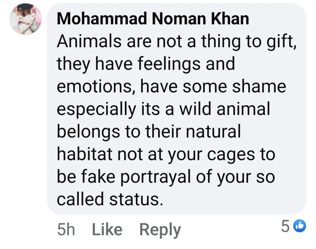 رجب بٹ کے اسراف شادی کے تحفے مداحوں کو چکرا کر رہ گئے۔