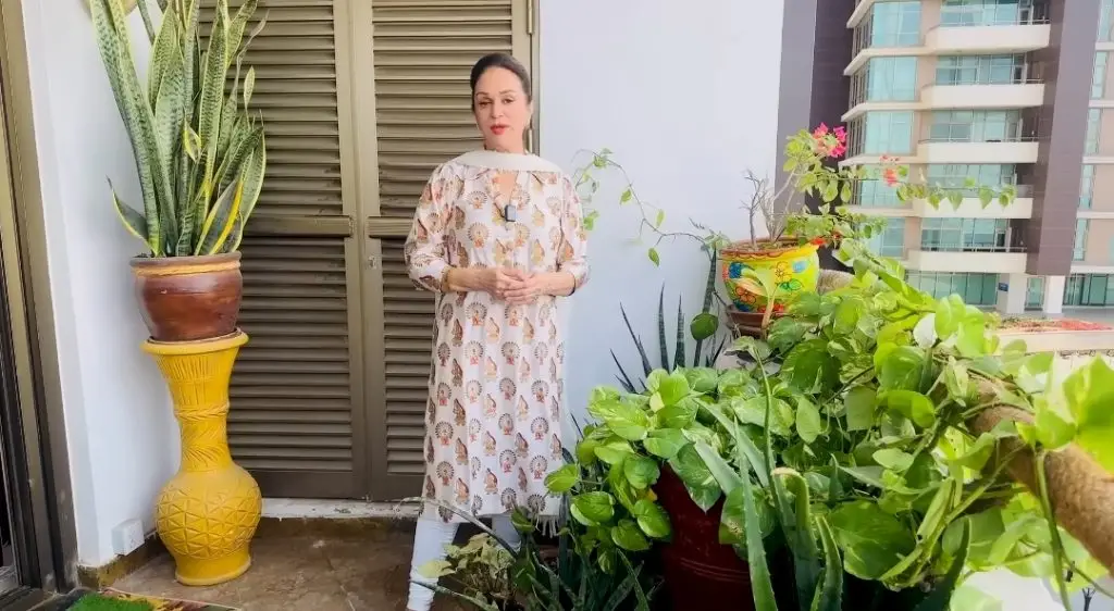کام کے بارے میں ہانیہ عامر کے روی attitude ہ پر بشرا انصاری