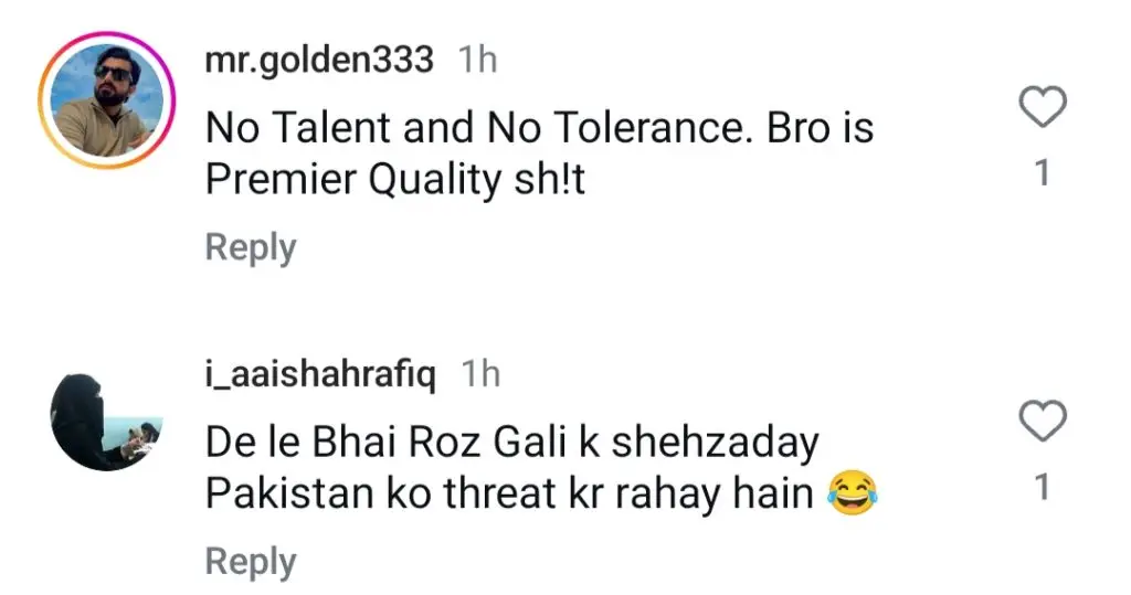 ابراہیم علی خان نے پاکستانی نقاد کو دھمکی دی