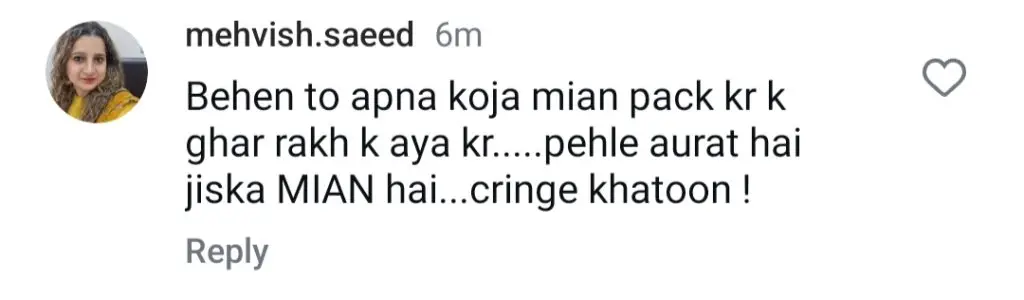 ثنا جاوید کا شوہر کے ساتھ جنون نے رد عمل کو جنم دیا