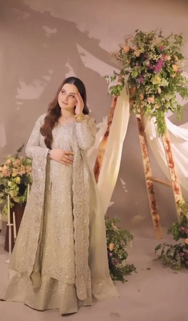 ایمن خان اور مائنل خان بھائی کے والیما سے نظر آتے ہیں