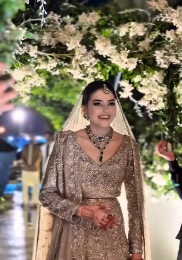 عمر شاہ زاد اور شانزی لودھی رخستی ویڈیو