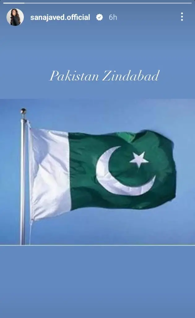 پاکستانی ستارے ہندوستان کے خلاف مضبوط موقف اختیار کرتے ہیں