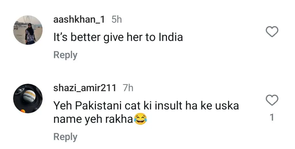 ہانیہ عامر نے اپنی بلی ایشوریا کا نام لیا - انٹرنیٹ کا رد عمل ہے