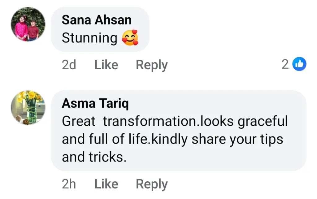 شگوفٹا اجز نے ایک طاقتور عنوان کے ساتھ وزن میں کمی کو بڑھاوا دیا