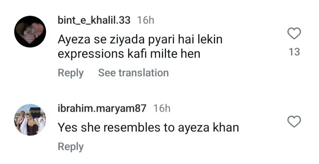 پبلک کے خیال میں نقاب سے تعلق رکھنے والی حنا طارق آئیزا خان سے مشابہت رکھتی ہے