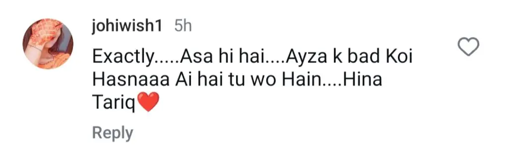 پبلک کے خیال میں نقاب سے تعلق رکھنے والی حنا طارق آئیزا خان سے مشابہت رکھتی ہے