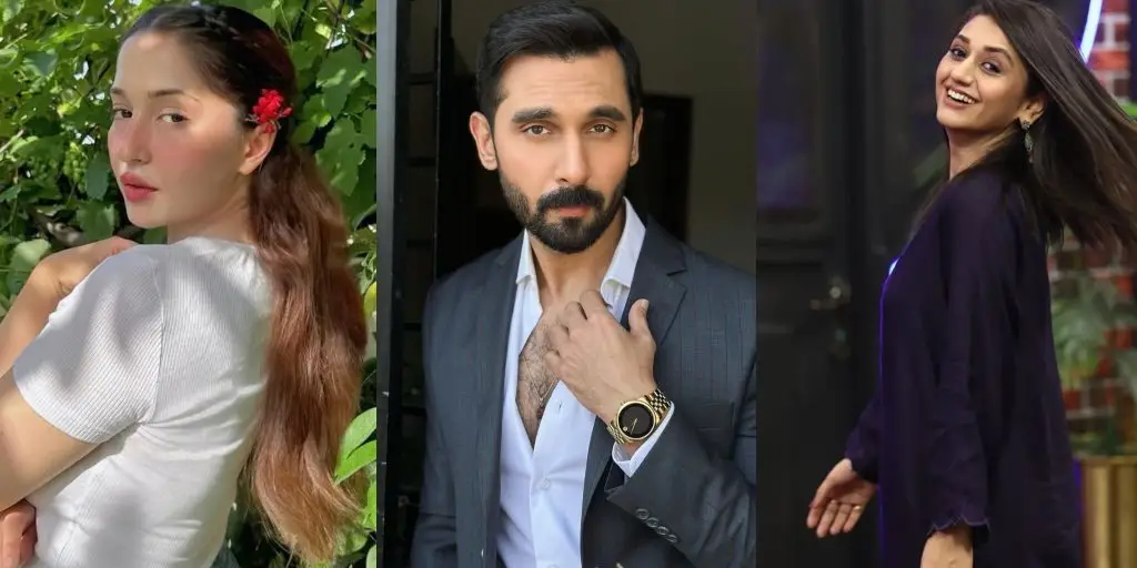 پاکستان کے مشہور شخصیات اے وی ایم اورنگزیب کے دل پھینک مداحوں سے سوال کرتی ہیں