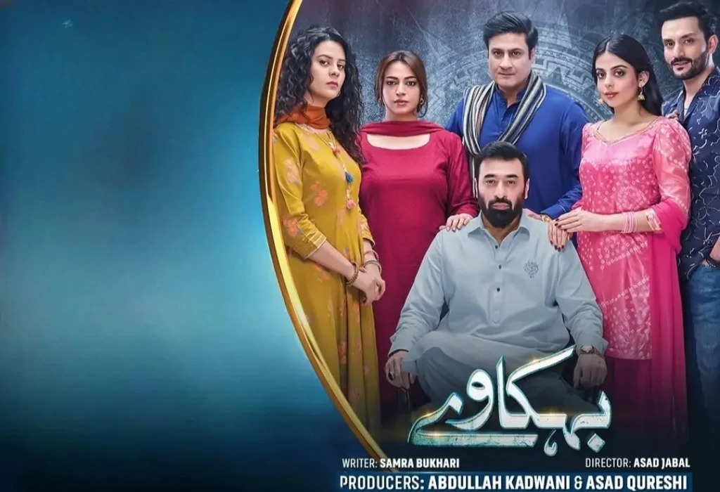 ڈرامہ سیریل بیہکاوے نے حالیہ متنازعہ منظر پر تنقید کی
