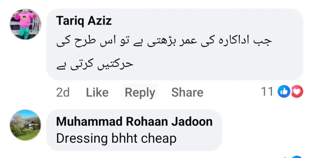 فیزا علی کے حالیہ شو میں پبلک کو مشتعل کرنے والے لباس میں انکشافی تنظیم