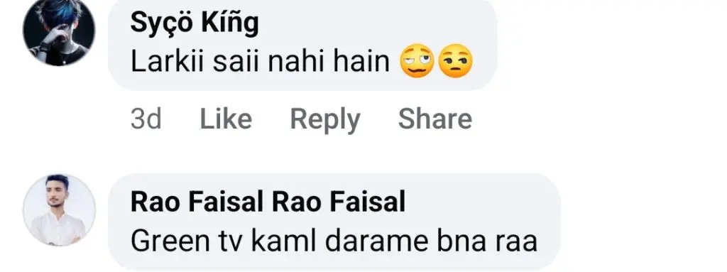 ہیبا بخاری اور فیروز خان آنے والے منصوبے کی تفصیلات