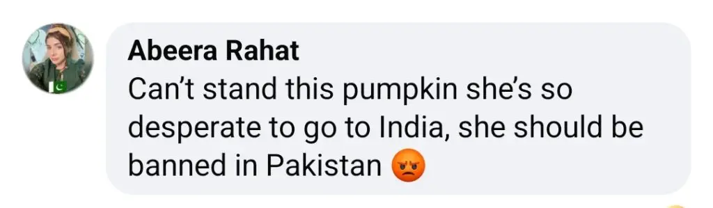 ہانیہ عامر کی جرات مندانہ تصویروں پر تنقید کی گئی