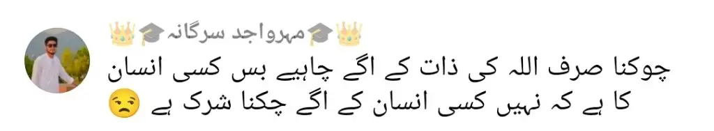 ابیڈا پروین کے پاؤں کو چھونے کے تحسین سکینا کے عمل نے تنقید کی ہے