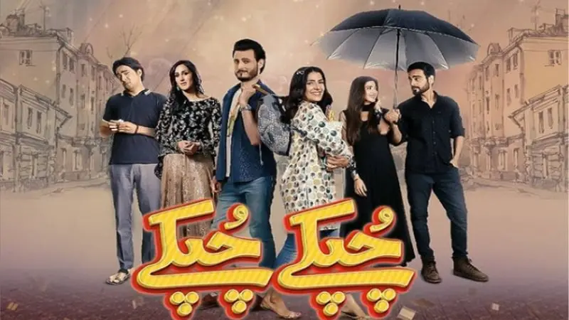 پاکستانی اداکار - سوشل میڈیا سے لے کر ٹیلی ویژن اسکرینوں تک