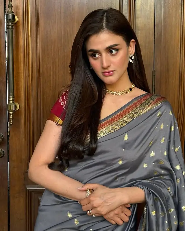 پاکستانی ستارے جو اپنے ملک کے لئے مضبوطی سے کھڑے تھے