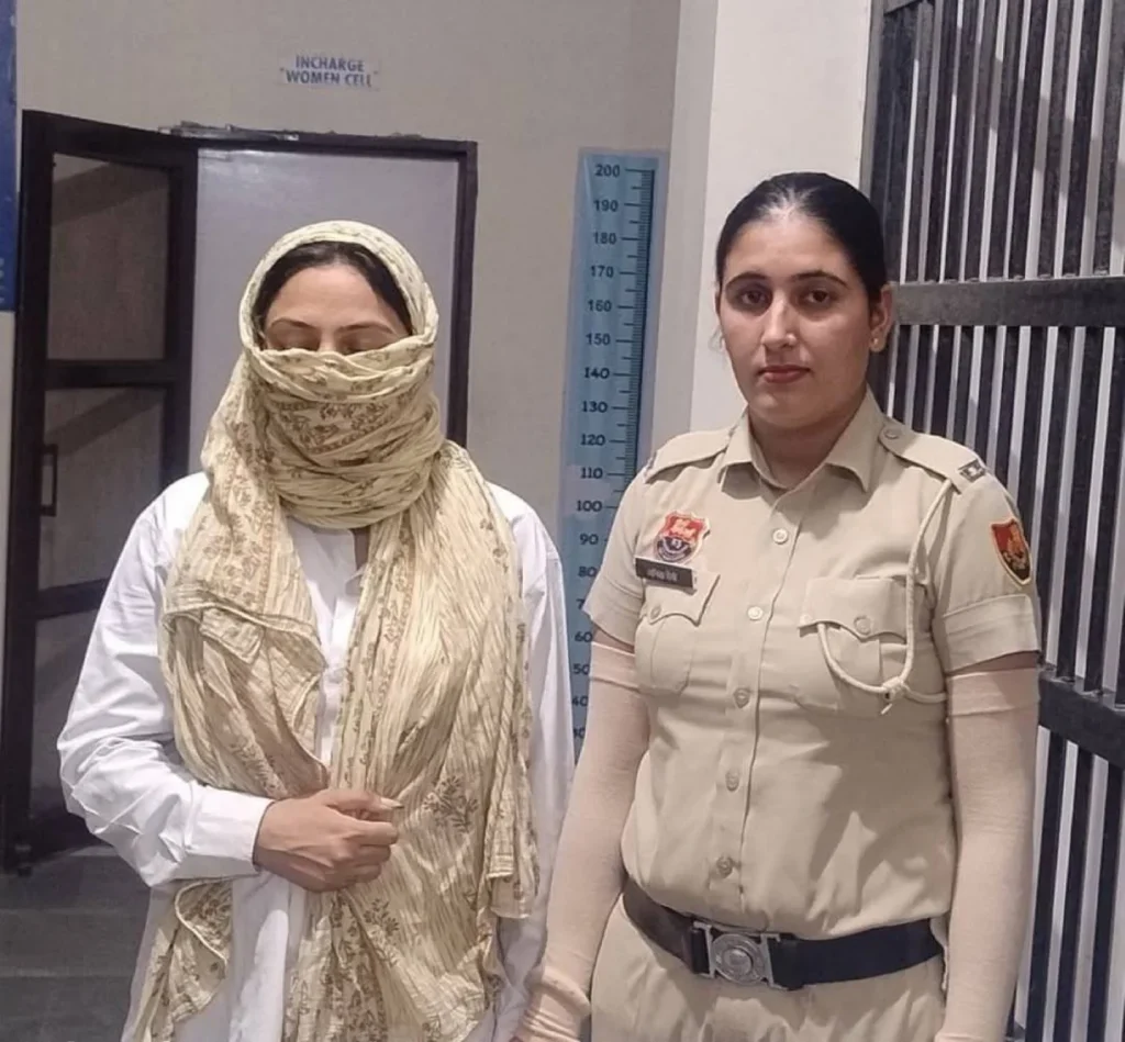 پاکستان کی حمایت کرنے پر اپنے ہی شہریوں کو گرفتار کرنے پر پاکستانی ٹرول انڈیا