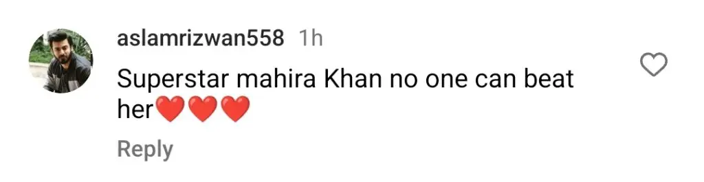 محبت گرو پروموشنل ویڈیو کو عوام کی طرف سے ملا جلا جواب ملتا ہے