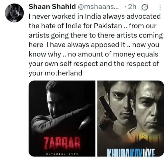 پاکستانی ستارے جو اپنے ملک کے لئے مضبوطی سے کھڑے تھے