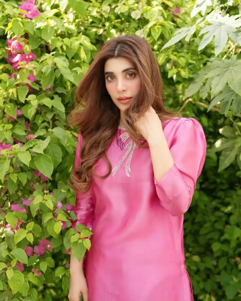 پاکستانی ستارے ہندوستان کے خلاف ایک مضبوط سربراہ ہیں