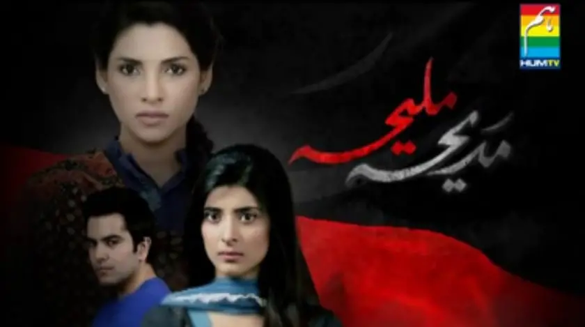 زالے سرہادی کو ارووا ہاکین کا نیک کام یاد ہے