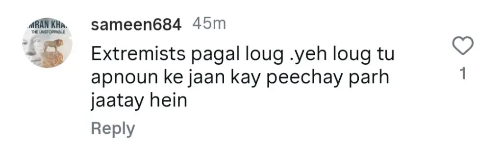 دلجیت دوسنجھ نے ہینیا عامر کو سردار جی 3 میں رکھنے کی دھمکی دی تھی