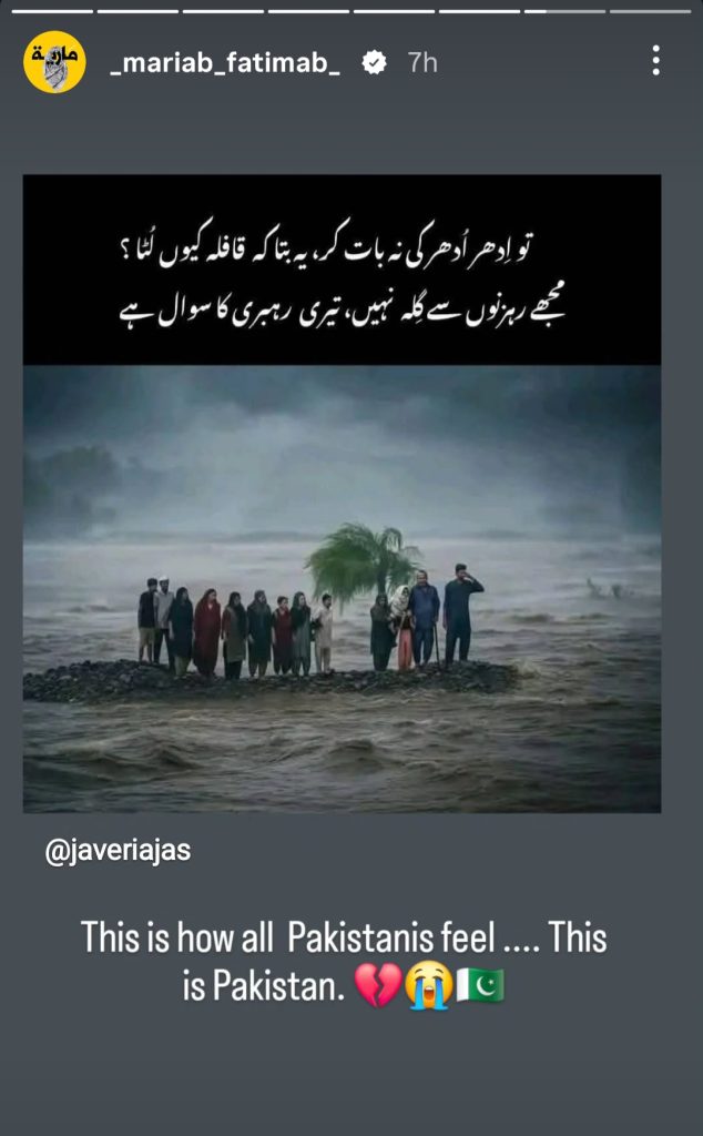پاکستانی مشہور شخصیات جو سوات کے سانحہ پر دل سے دوچار ہیں