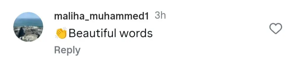 علی ظفر نے سانا یوسف کے لئے جذباتی نظم کو وقف کیا