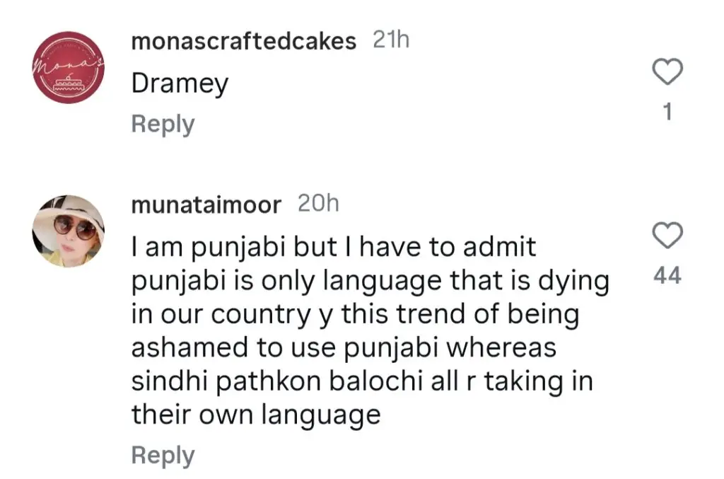 زارا نور عباس پنجابی کے بارے میں اپنے بیان پر تنقید کے تحت