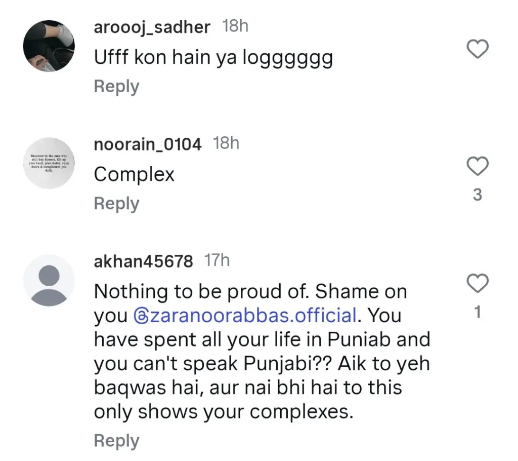زارا نور عباس پنجابی کے بارے میں اپنے بیان پر تنقید کے تحت