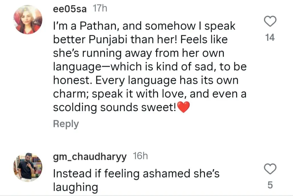 زارا نور عباس پنجابی کے بارے میں اپنے بیان پر تنقید کے تحت