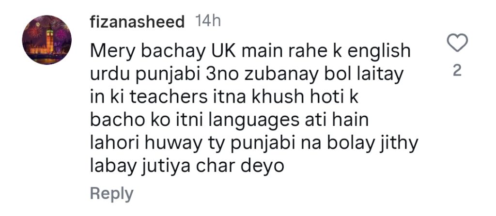 زارا نور عباس پنجابی کے بارے میں اپنے بیان پر تنقید کے تحت
