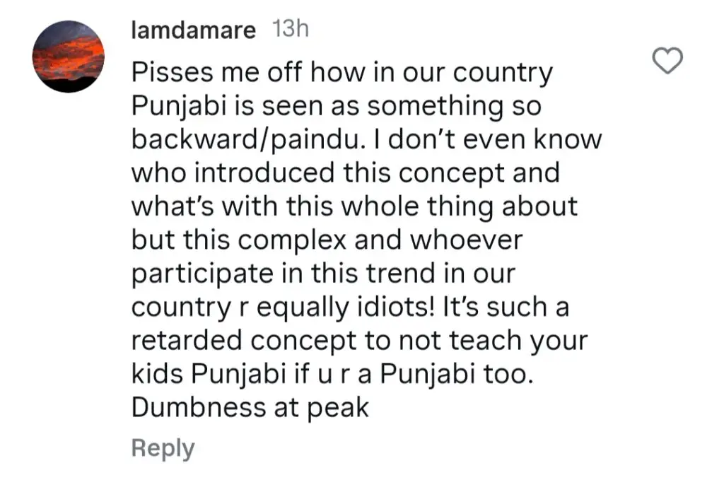 زارا نور عباس پنجابی کے بارے میں اپنے بیان پر تنقید کے تحت