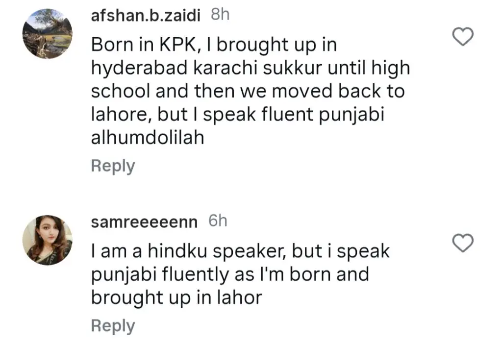 زارا نور عباس پنجابی کے بارے میں اپنے بیان پر تنقید کے تحت