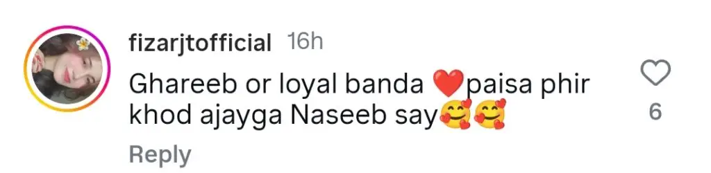وفادار ساتھی بمقابلہ امیر آدمی - کومل میر کی پسند عوام کو تقسیم کرتی ہے