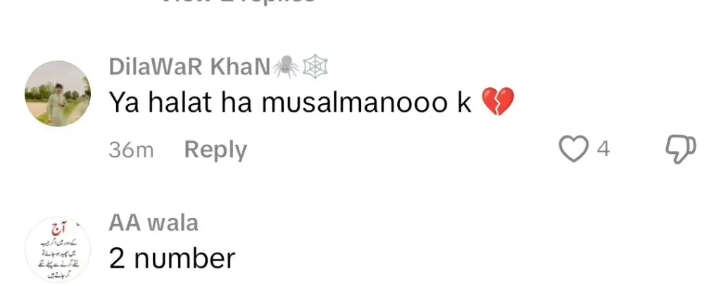 ہریم فاروق کو جرات مندانہ ، ناجائز فٹ ہونے والی ساڑی پر ردعمل کا سامنا کرنا پڑتا ہے