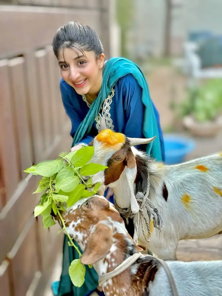 اس کی قربانی کے ساتھ مائرا ہاکین کا خوبصورت فوٹو شوٹ