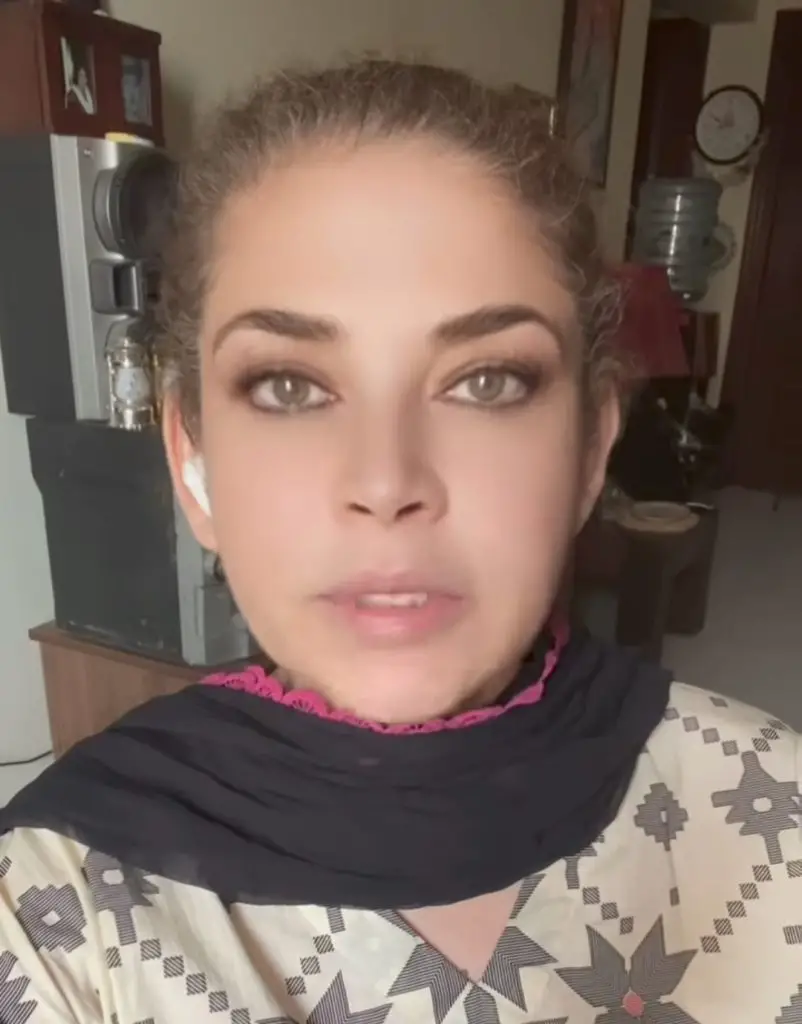 میشی خان نے لیبوبو گڑیا کے رجحان کو پکارا