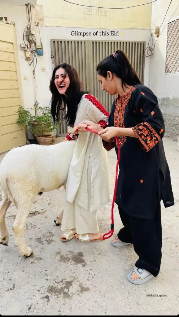پاکستانی مشہور شخصیات کی شام عید الاذہ ڈے 2 سے نظر آتی ہے
