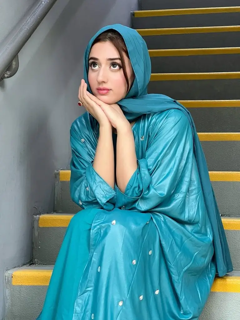 پاکستانی مشہور شخصیات شام عید الدھا کے دن سے دیکھتی ہیں