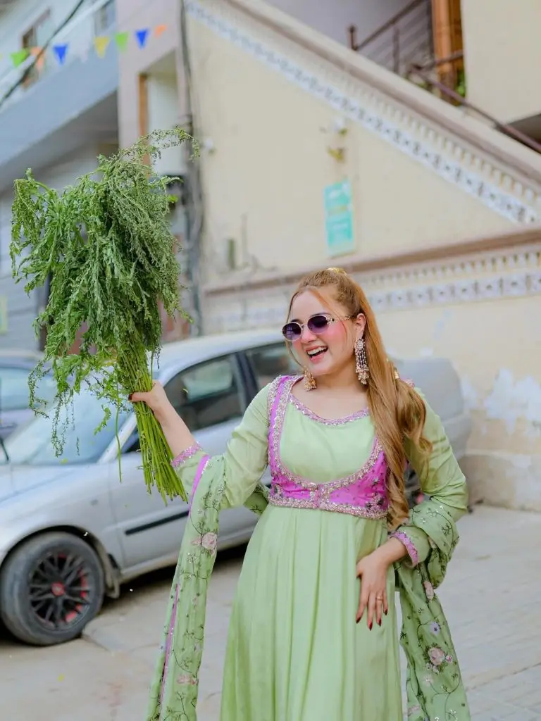 پاکستانی مشہور شخصیات شام عید الدھا کے دن سے دیکھتی ہیں