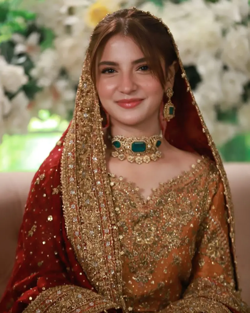 احد رضا میر اور ڈینیئر موبین نے شادی میں ایک ساتھ دیکھا