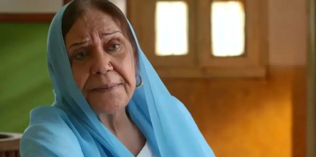 عائشہ خان کے اشتہار کے خاتمے کے بعد عوامی اور مشہور شخصیات سوالات اٹھاتی ہیں