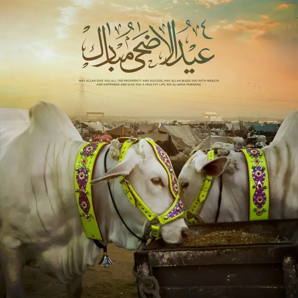 عید الدھا 2025 پر پاکستانی مشہور شخصیات - دن 2