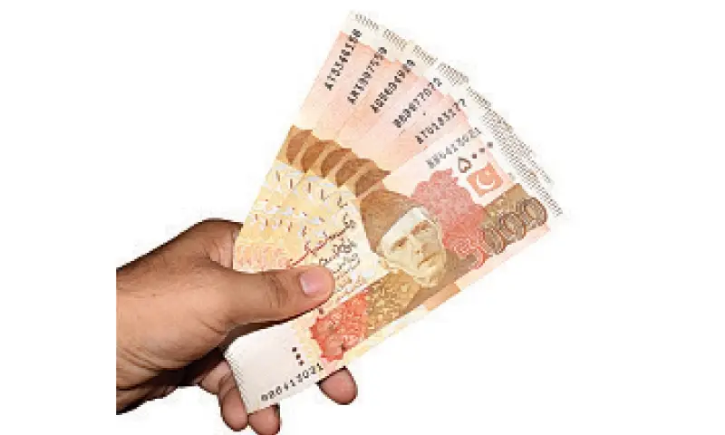 رابیکا خان کی حق مہر نے آن لائن بحث کو جنم دیا