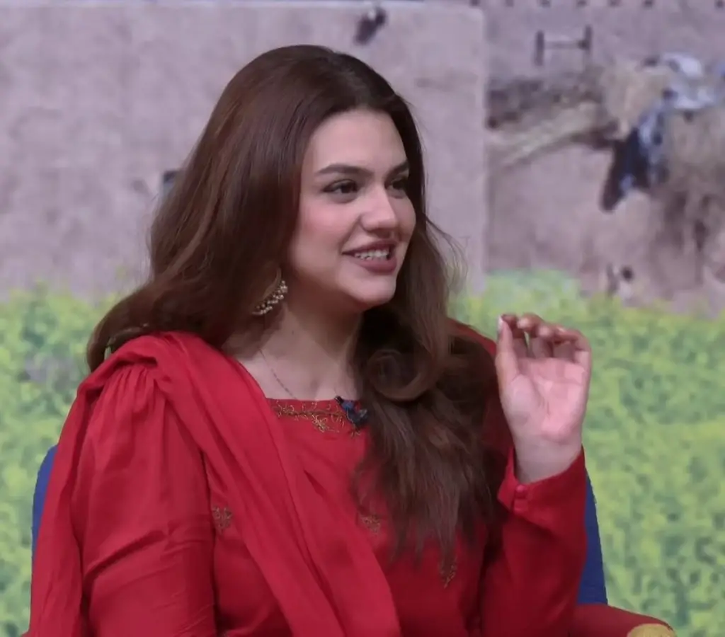 زارا نور عباس پنجابی کے بارے میں اپنے بیان پر تنقید کے تحت