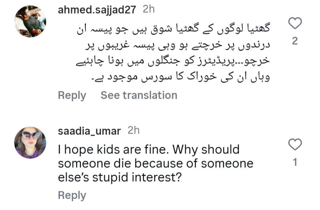 لاہور میں پالتو جانوروں کے شیر حملے سے عوام مشتعل ہیں