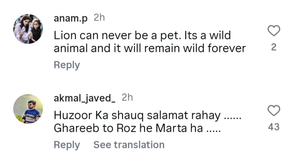 لاہور میں پالتو جانوروں کے شیر حملے سے عوام مشتعل ہیں
