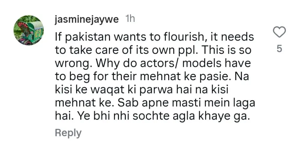 محمد احمد نے پاکستانی پروڈکشن ہاؤسز کو بے نقاب کیا