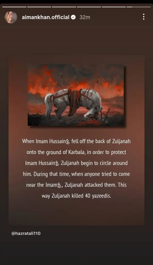 پاکستانی مشہور شخصیات نے 10 ویں محرم کو گہرے غم کے ساتھ مشاہدہ کیا