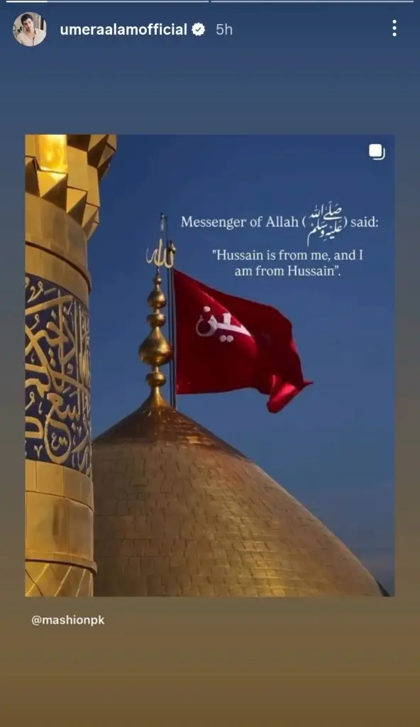 پاکستانی مشہور شخصیات نے 10 ویں محرم کو گہرے غم کے ساتھ مشاہدہ کیا